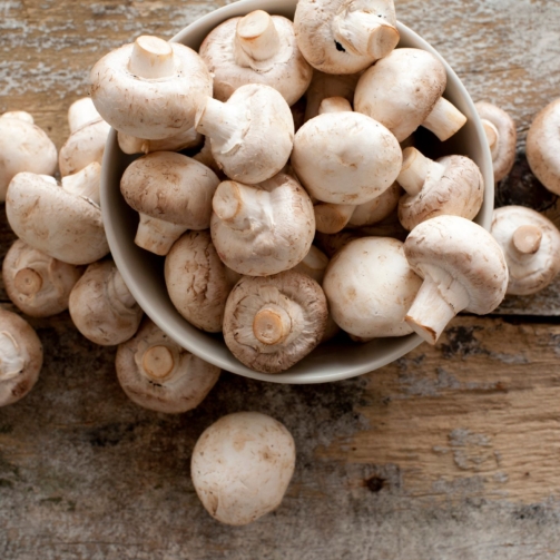mushrooms-1536073873