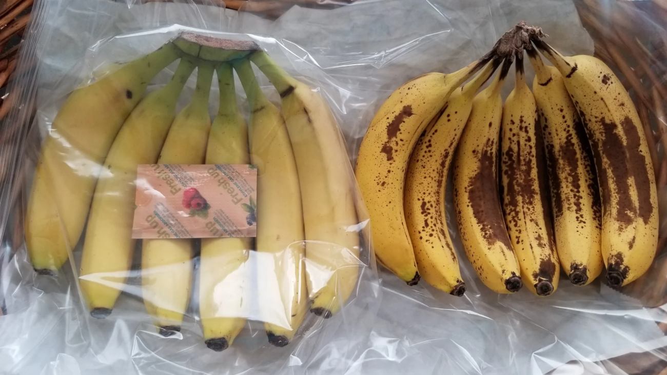 banana passada
