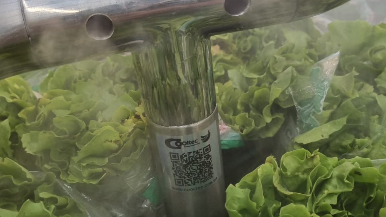 Fumacinha no expositor do hortifruti