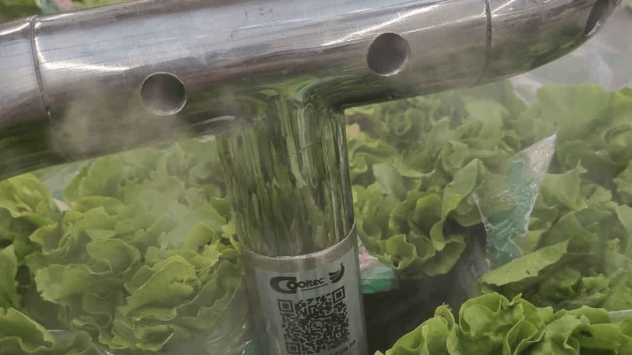 Fumacinha no expositor do hortifruti