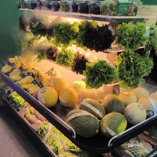 554333870_18059362361431854_8483156552357600209_n