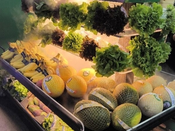 554333870_18059362361431854_8483156552357600209_n